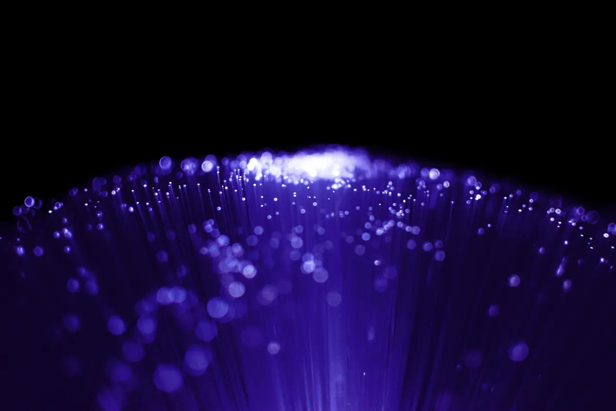 Bundle of optical fibers with violet points of light against a black background.